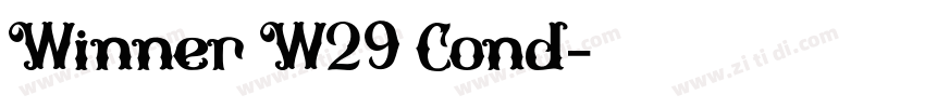 Winner W29 Cond字体转换